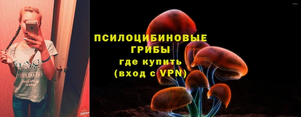МДМА Арсеньев