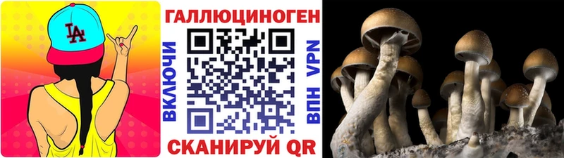 Псилоцибиновые грибы мухоморы  Кизилюрт 
